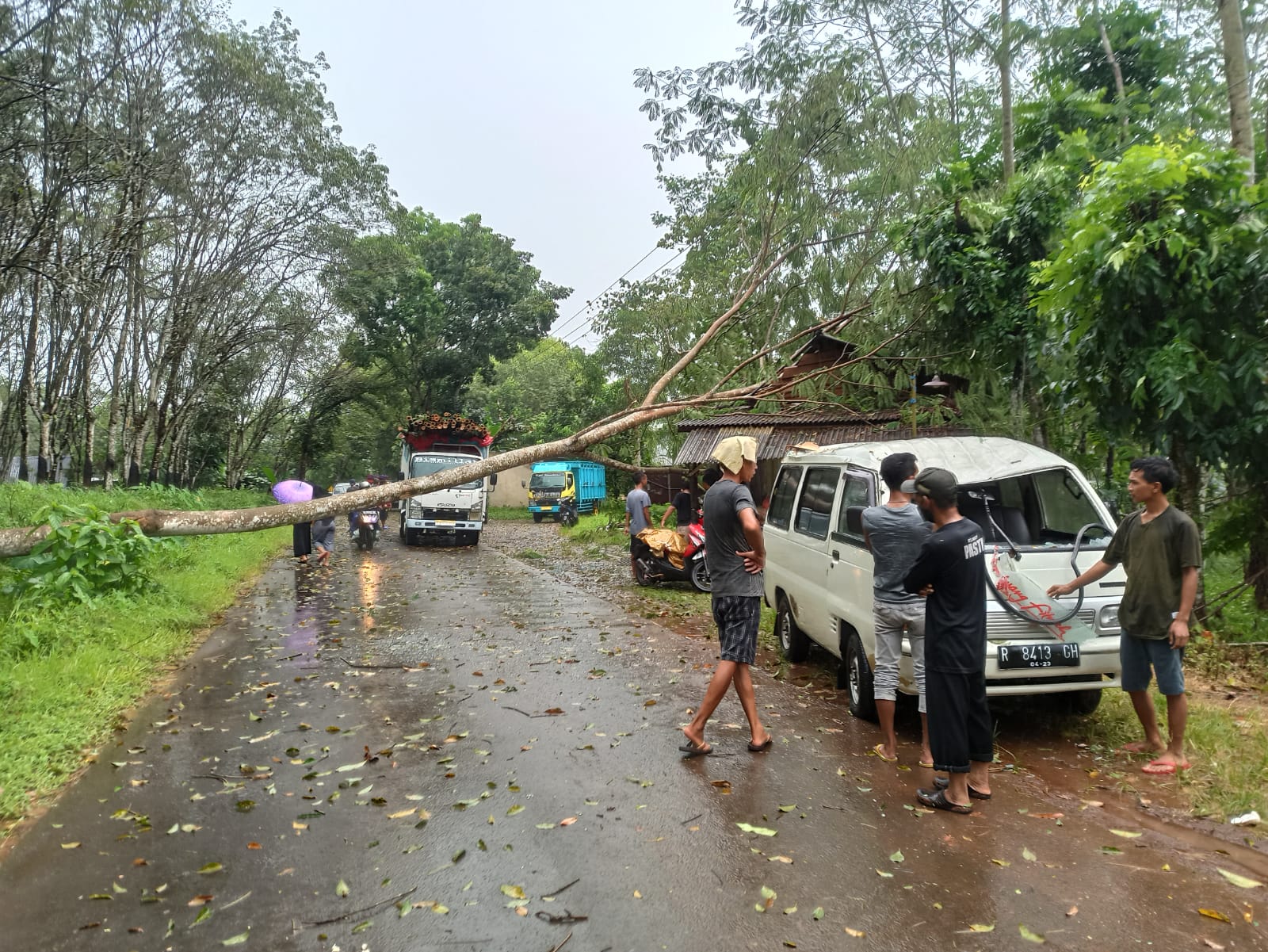 Angin Ribut Melanda Wilayah Kota Santri, Belasan Pohon Ambruk