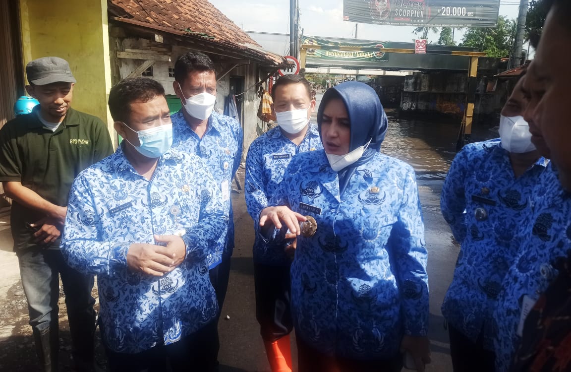 Banjir Pacar, Pemkab Pekalongan Bakal Bangun Rumah Pompa