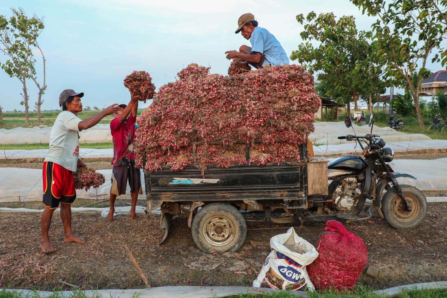 Tekan Inflasi, CMJT Borong Cabai dan Bawang Merah Petani