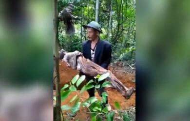 Viral! Video Anak Gali Kuburan Ayah di Cianjur, Alasannya Bikin Ngenas