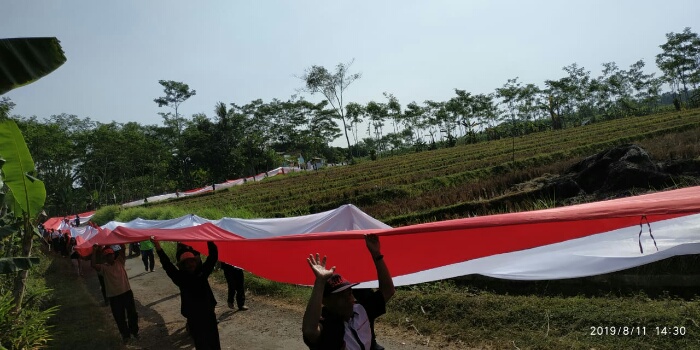 Semarakan HUT RI, Warga Dukuh Wonoedi Bentangkan Bendera Sepanjang 350 Meter