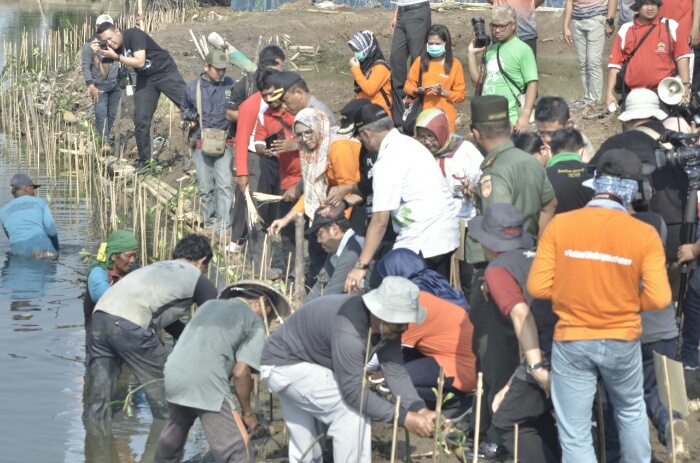 77 Persen Pesisir di Jateng Rusak, Belanda Siap untuk Membantu