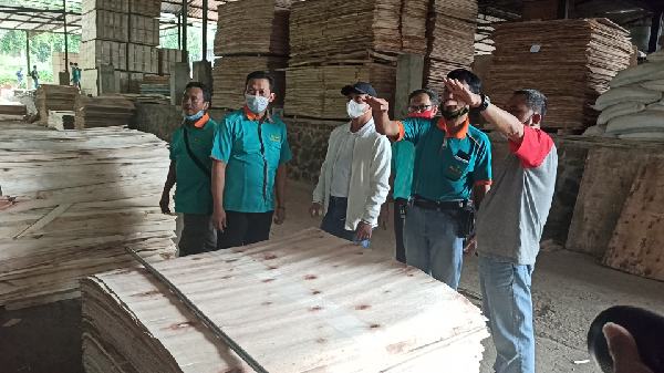 Pandemi, Dari 20 Perusahaan Plywood, Baru Satu yang Lakukan Ekspor