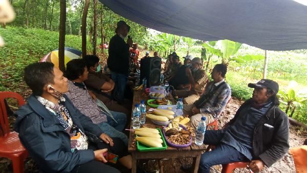 Menguntungkan, Petani Diajak Kembangkan Tanaman Anggur