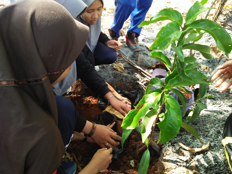 Seriusi Adiwiyata, SMAN 2 Batang Lakukan Reboisasi