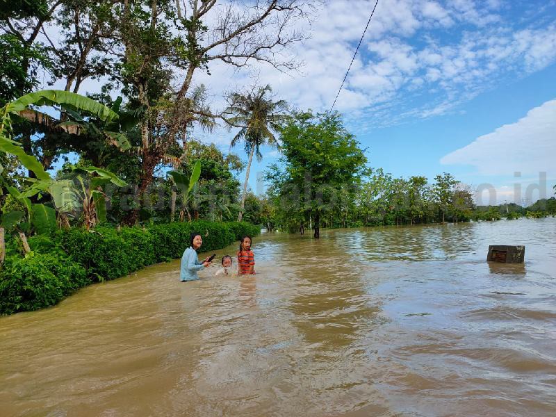 Sungai 'Ngamuk', Puluhan Desa Terendam Banjir