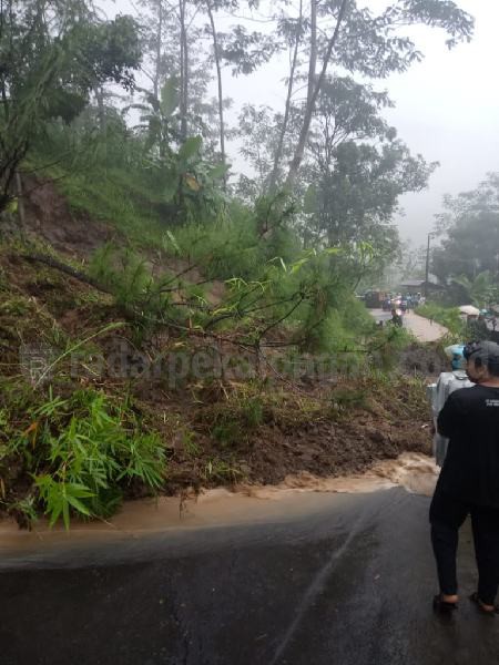 Tebing Setinggi 10 Meter Longsor, Akses Jalan di Sidomulyo Tertutup