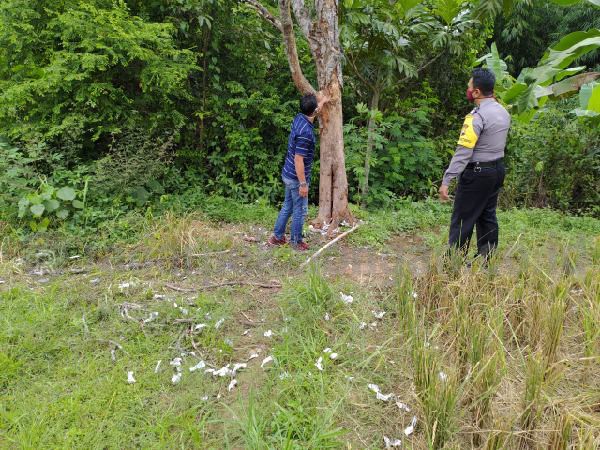 Bermain Petasan, Pelajar SMP Luka Parah