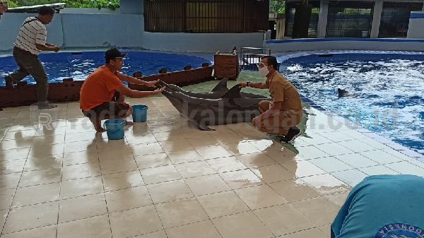 Jelang Uji Coba New Normal, Bupati Cek Kesiapan Objek Wisata