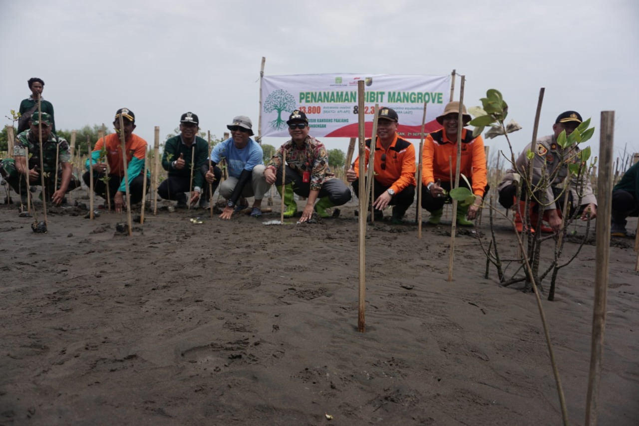 Merawat Pesisir Pekalongan, Pemkot dan Kemitraan Tanam 16.100 Bibit Mangrove