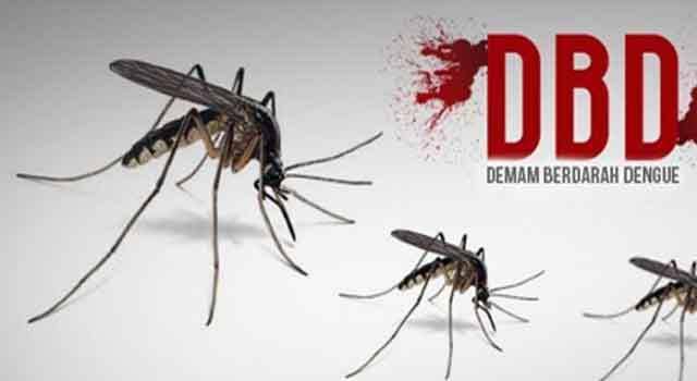 Pasien Demam Berdarah Dengue di Kota Santri Terus Meningkat