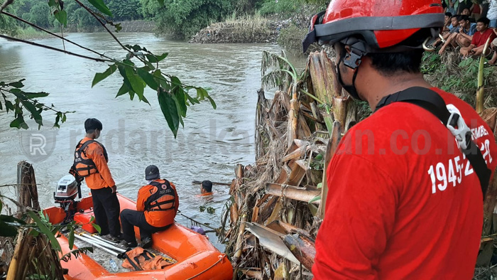 145 Hektar Sawah Terendam Banjir Rob