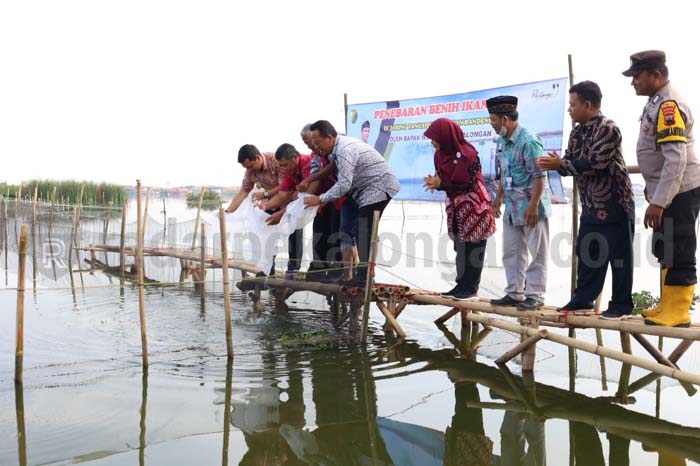 Petani Tambak Dapat Bantuan Jaringan dan Benih Ikan