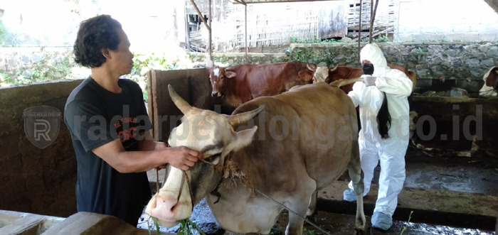 Migor Curah Dijual di Atas HET