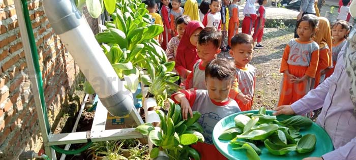 Panen Sayur Hidroponik, Siswa Dikenalkan Bertani di Rumah