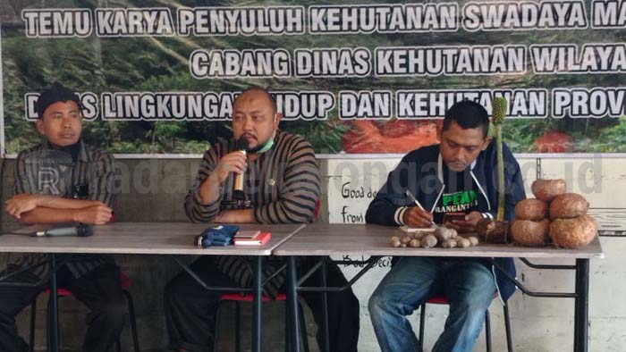 Potensi Porang Belum Digarap Optimal