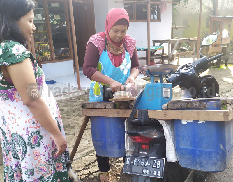 Harga Daging Ayam Kembali Naik