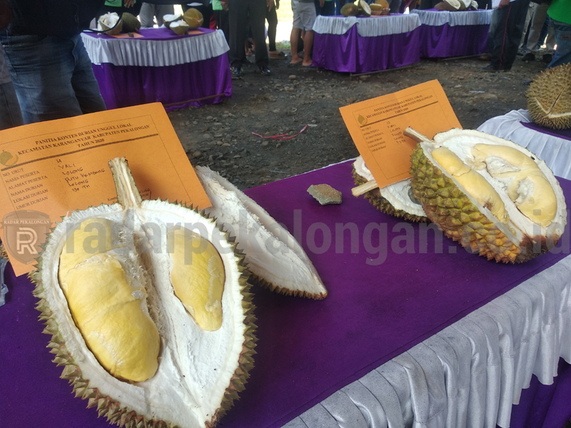Kekhasan Durian Lokal Karanganyar, Bentuk Lebih Kecil dengan Citarasa Tinggi