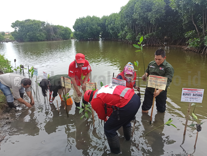 Abrasi di Pesisir Batang Cukup Tinggi
