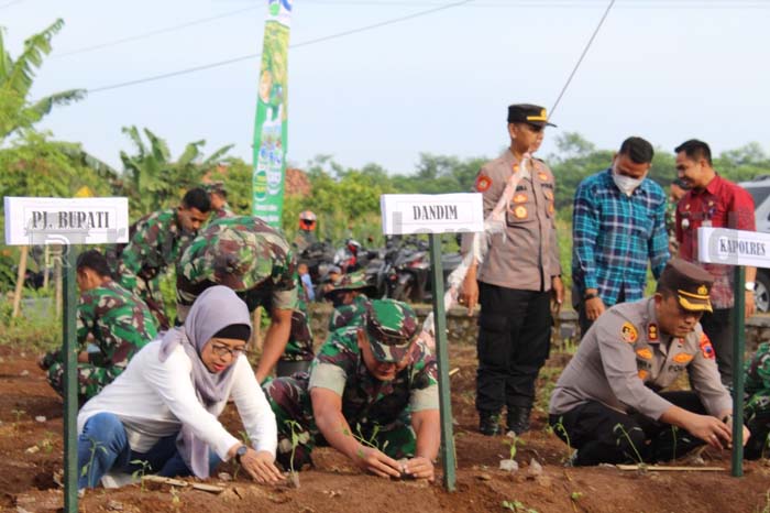 Stok Pangan Aman Hingga Tahun Baru