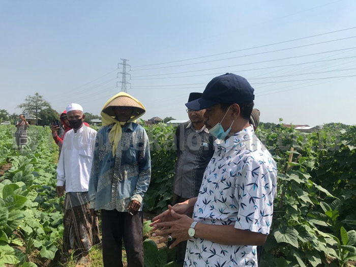 Tolak Impor, Siap Kembalikan Kejayaan Petani Tembakau