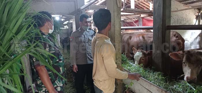 Duh, Realisasi Kegiatan Fisik Sejumlah OPD Masih Rendah