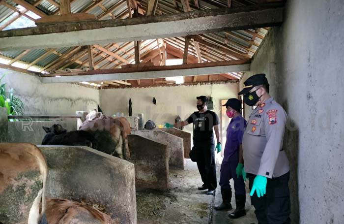 Warga di 6 Gang Terpapar Covid-19, Kelurahan Pekajangan Terparah