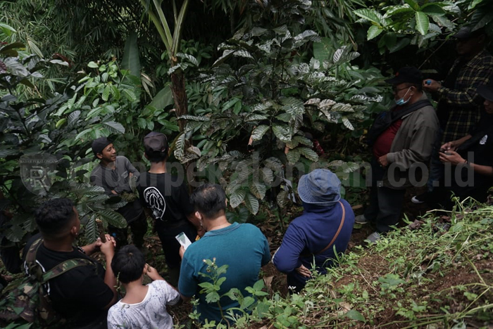 Mau Tahu Hal Ikhwal Kopi, Batang Punya Laboratoriumnya