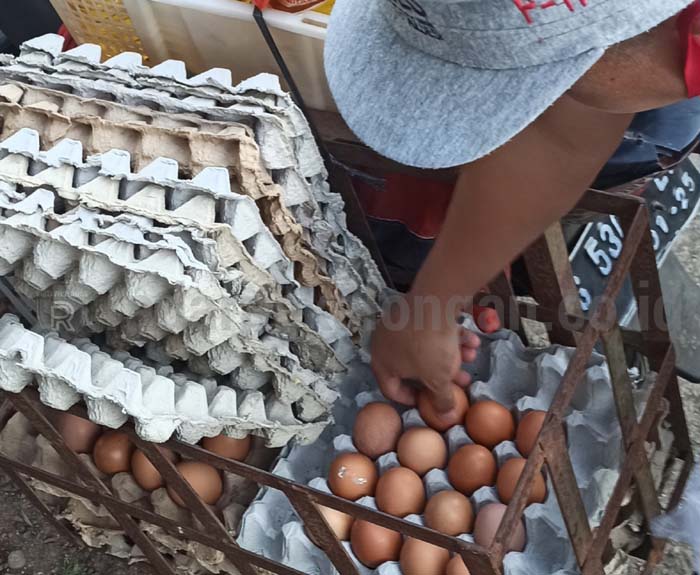 Harga Kebutuhan Diprediksi Naik