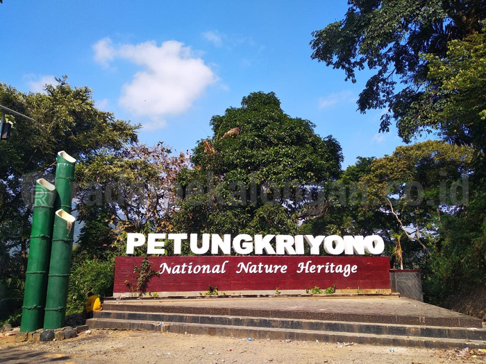 Covid-19 Petungkriyono 'Pecah Telur'