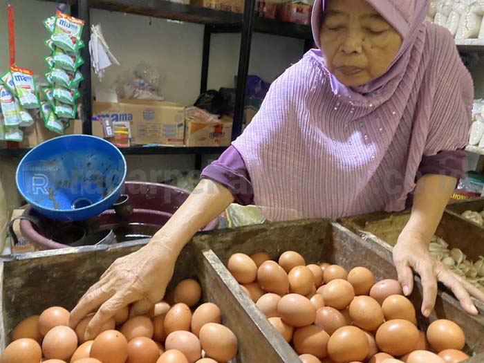 Kenaikan Harga Telur Diprediksi Sampai Idul Adha