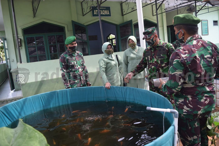 Budidaya Ikan Air Tawar Kodim Diapresiasi