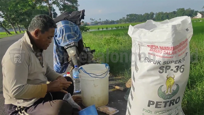 Pupuk Subsidi Sulit Dicari Petani