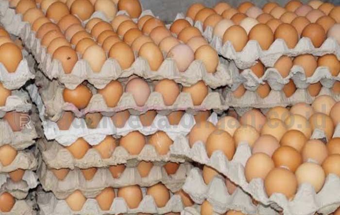 Harga Telor Tembus Rp 31 Ribu