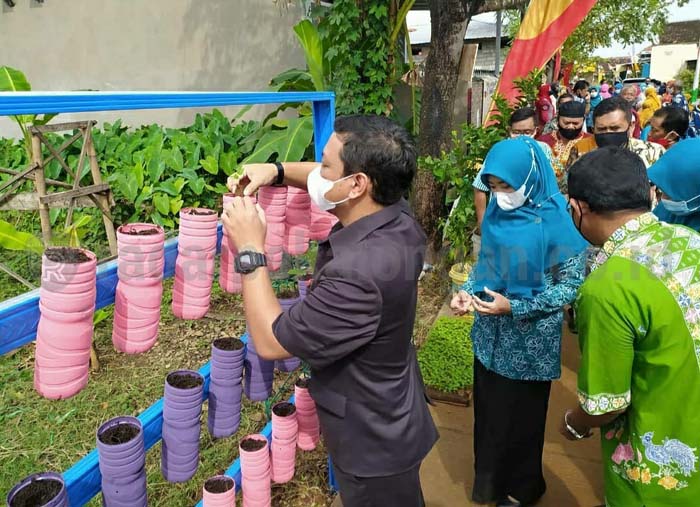 Kampung Iklim Sukses Tanam Anggur di Tengah Rendaman Rob