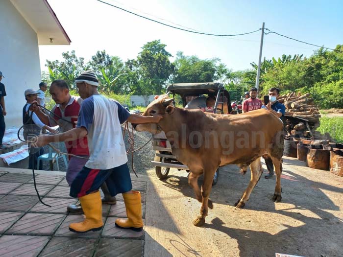 Akhir 2022 Kota Pekalongan Targetkan Zero Case PMK