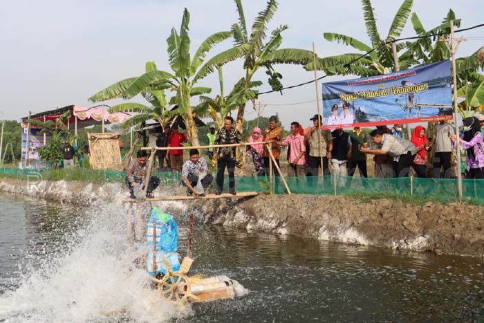 Pembudidaya Ikan Dapat Bantuan Bibit Udang