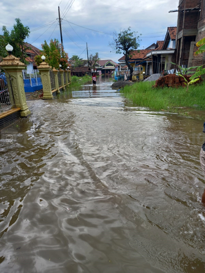 Banjir Depok Kian Parah, 354 Rumah Terdampak