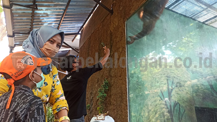 New Normal, Pengunjung Dolphin Tembus 400 Orang