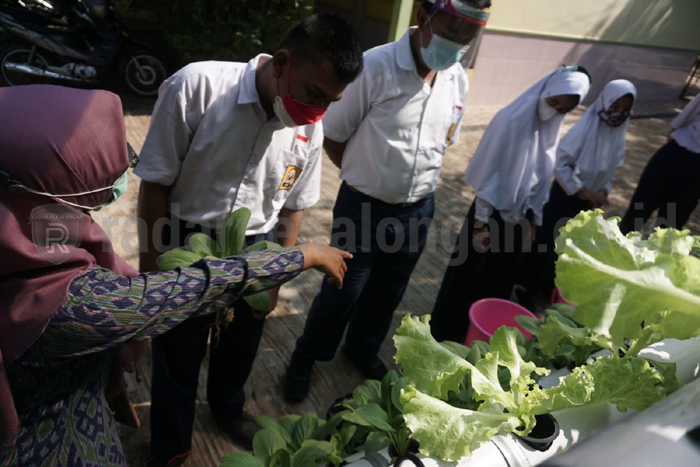 Siswa Dilatih Budidaya Hidroponik