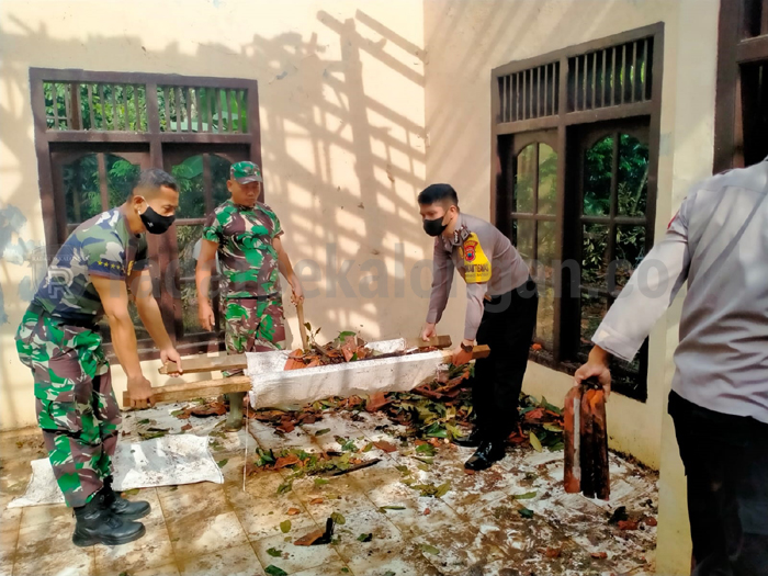 Waspadai Pohon Tumbang dan Longsor