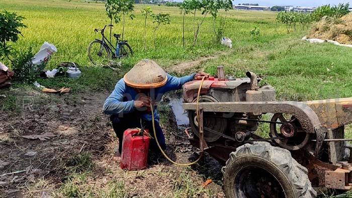 Harga Sewa Traktor dan Perontok Padi Naik