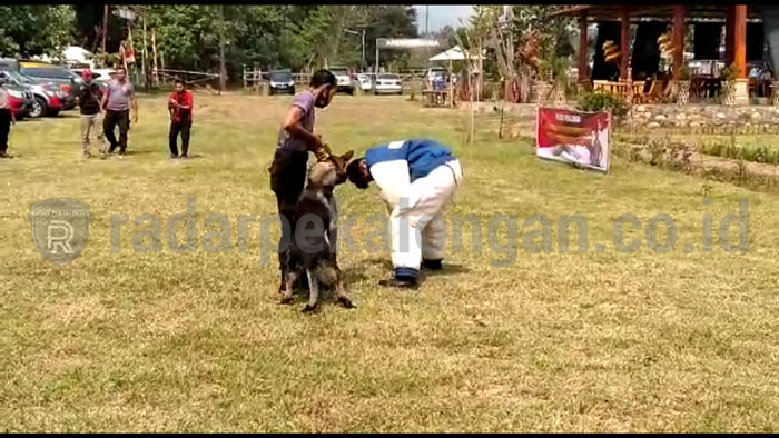 Amankan Pilkada, Anjing Diterjunkan