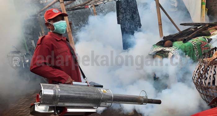 Marak DBD, Dinkes Lakukan Fogging Massal