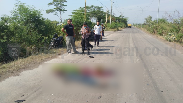 Motor Tabrak Kerbau, Pekerja Proyek Tewas