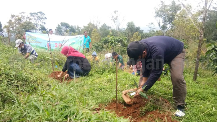 50 Ribu Hektar Lahan Masih Kritis