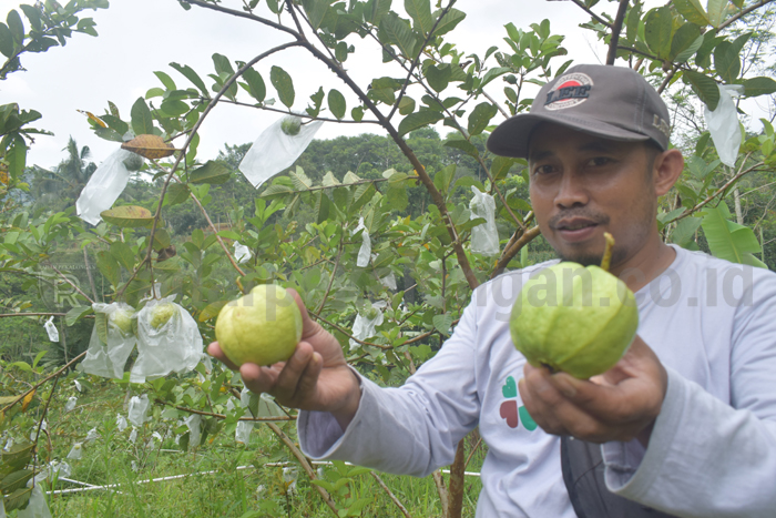 Creative Farm jadi Sarana Edukasi Petani dan Masyarakat