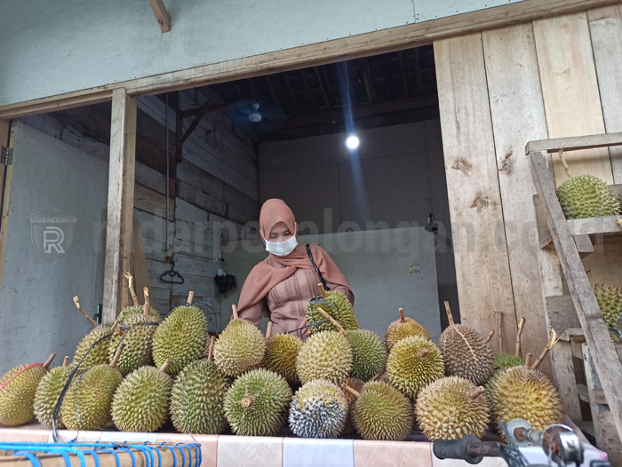 Cuaca Mendukung, Panen Durian Lokal Meningkat Dua Kali Lipat