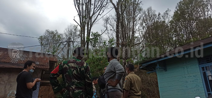 Pohon Meranggas, Nasib Petani Cengkeh Kian Terpuruk