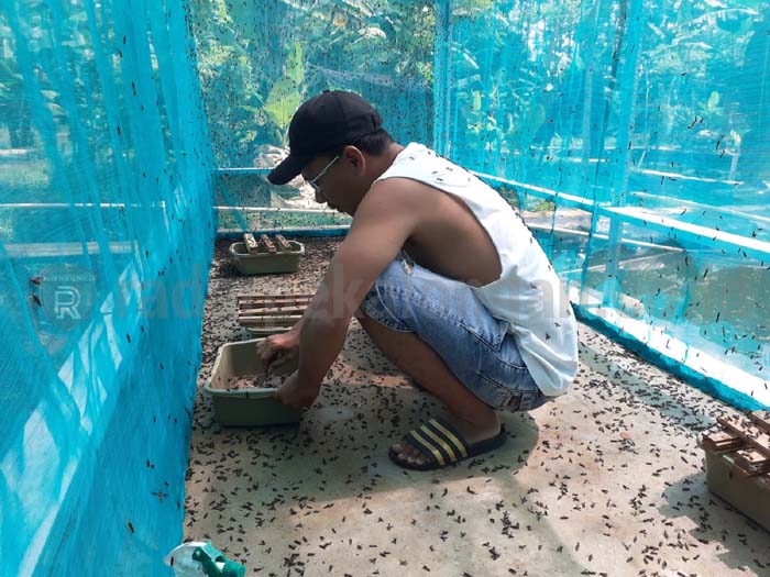 Alat Berat akan Disiagakan di Daerah Atas